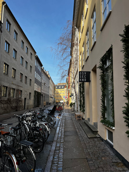 The treen guide to Copenhagen